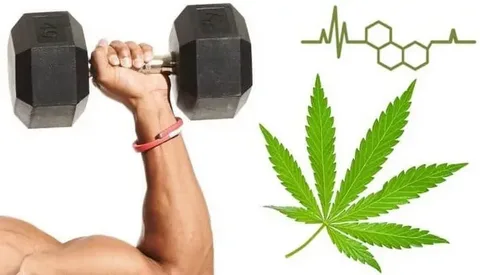 A bottle of CBD oil placed beside green hemp leaves, symbolizing the natural Benefits of CBD