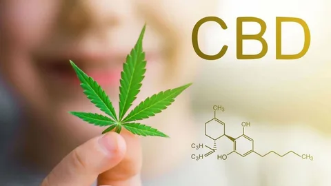 A bottle of CBD oil placed beside green hemp leaves, symbolizing the natural Benefits of CBD