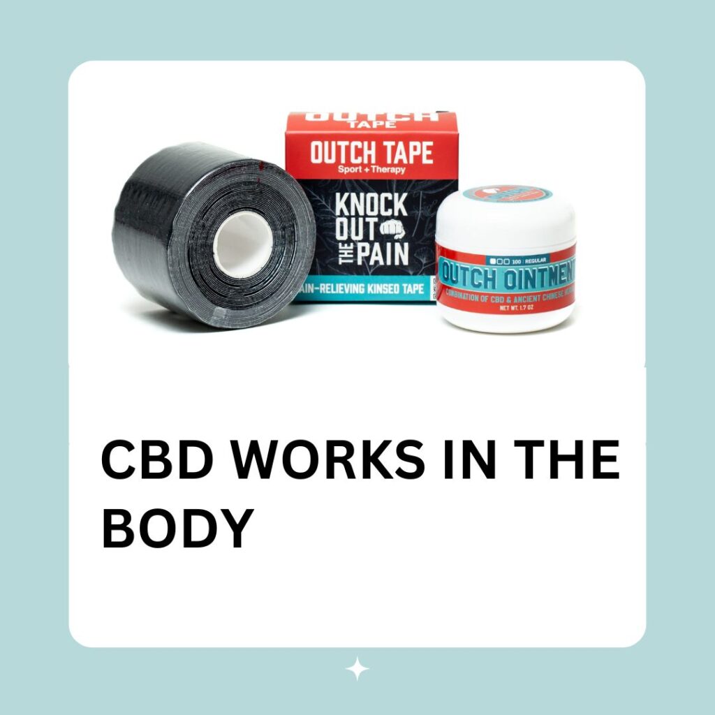 Outch Ointment Regular Strength CBD roll-on (500mg) – broad spectrum CBD formula for pain relief, muscle soreness, and joint support.